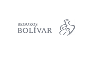 logobolivargris